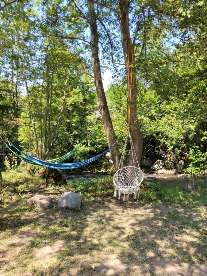 Cabana Praid Villa Eksteriør bilde